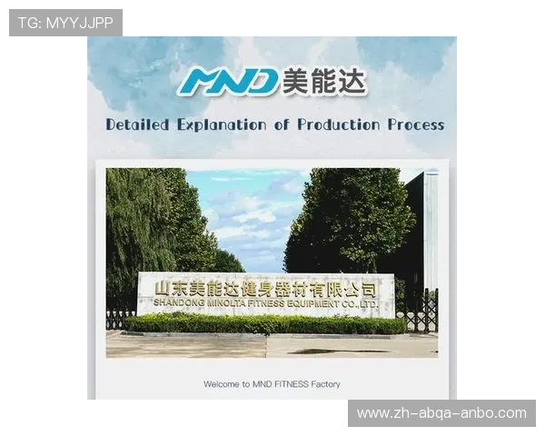 山东健身器材批发市场：产品与供应商分析